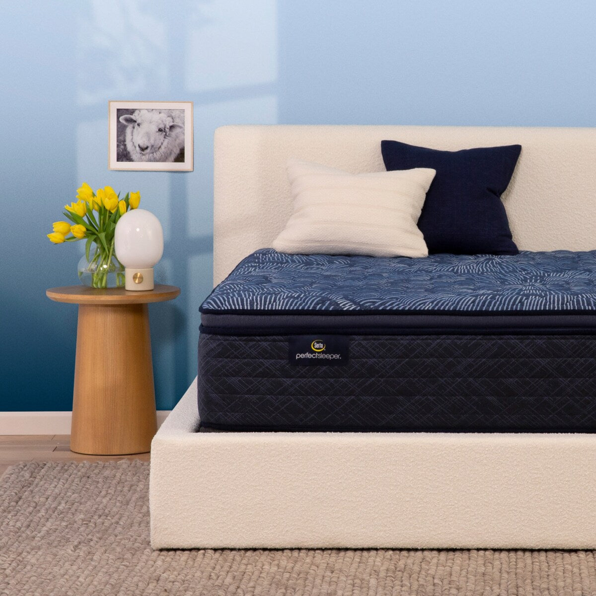 Matelas Serta Perfect Sleeper Oasis Sleep 14,5 ferme à plateau-coussin
