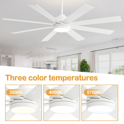 Ventilateur de plafond LED noir à 8 pales de 65 pouces avec éclairage et télécommande