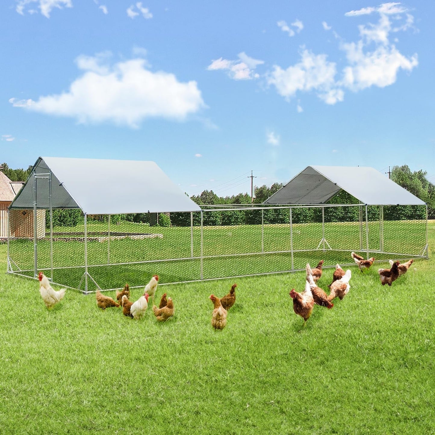 AECOJOY Grand poulailler en métal avec cage à poulets en métal