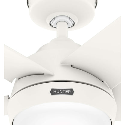 Ventilateur de plafond extérieur Hunter 52 Skyflow avec kit d'éclairage LED, commande murale - Côtier moderne contemporain - WeatherMax - CLASSÉ HUMIDE !